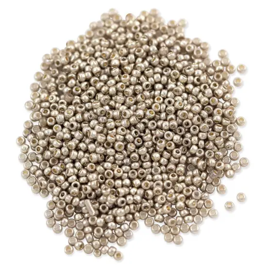 Czech Seed Beads - 11/0 Silver (10 Grams) {1}