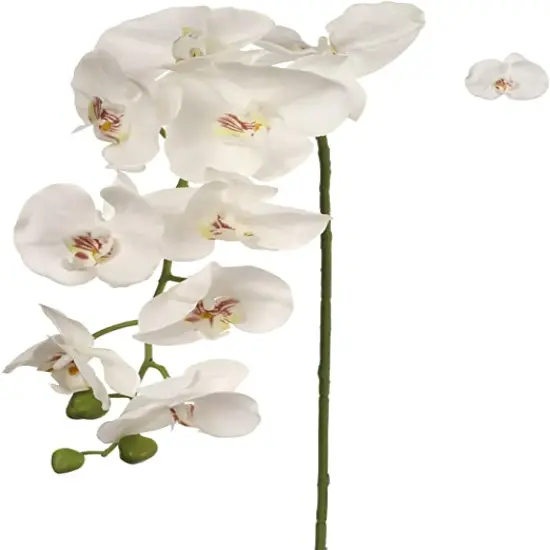 12-Pack: White Phalaenopsis Orchid Stem with 9 Silk Flowers, Floral Home by Artificial Flowers {1}