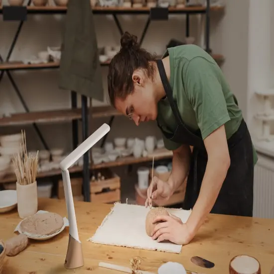 Daylight Smart Go Rechargeable Travel Lamp-White & Rose Gold {5}