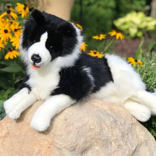 25" Plush Toy Border Collie Rossi {1}