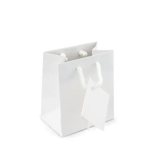 Gift Bag Mini Glossy White (Package of 20) {1}