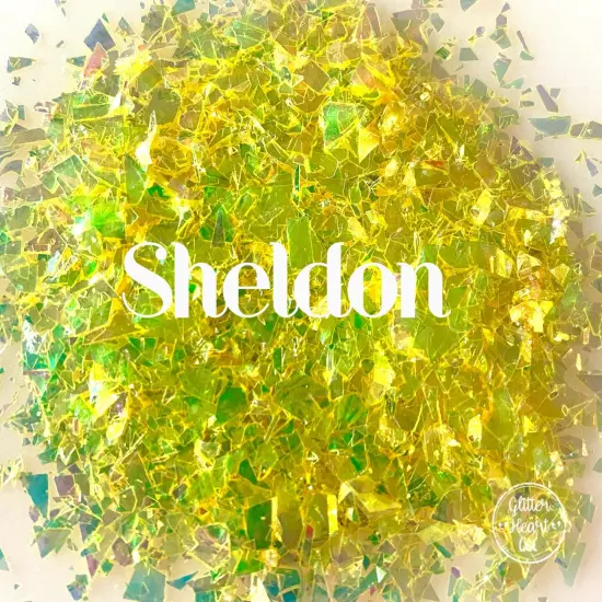 Polyester Glitter - Sheldon by Glitter Heart Co.&trade; {3}