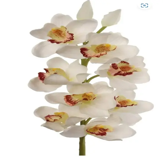 15-Inch Cream/White Silk Cymbidium Orchid Stem - Elegant and Realistic Floral D&eacute;cor for Home Arrangements & Special Occasions - Timeless Beauty, Floral Home by Artificial Flowers {1}