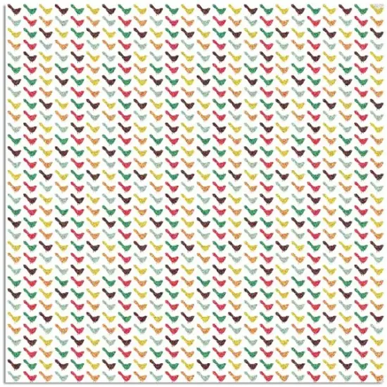 TRANSPARENCY FLIGHT - {1}