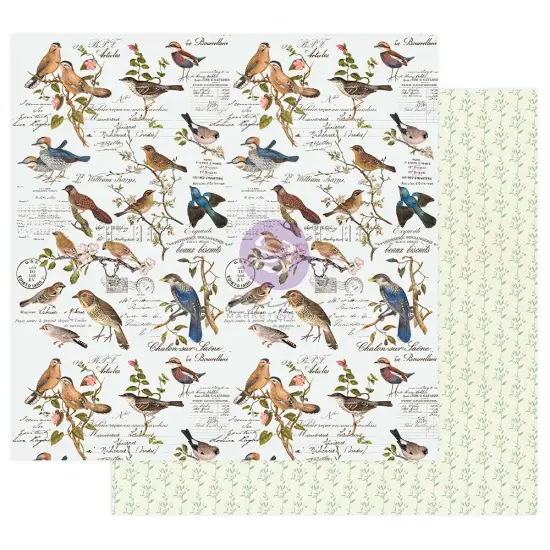 Prima Marketing Inc Nature Lover Collection 12x12 Sheet - Where The Birds Meet - 10 Sheet W/ Foil Details / Paper 655350849665 {1}