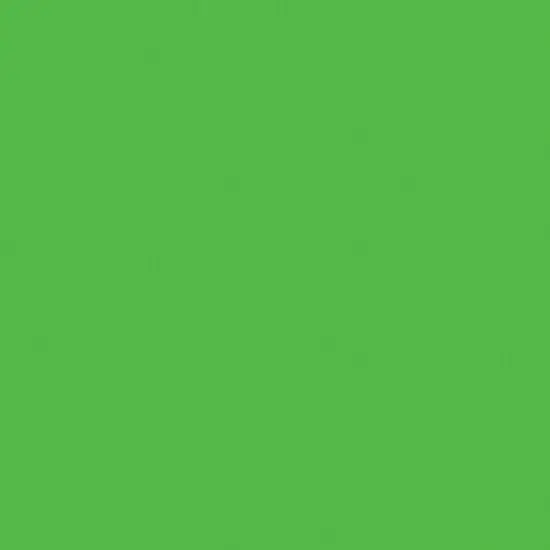 Duck Bright Duck Tape 1.88"X15yd {2}