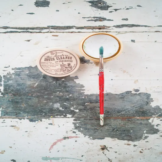 The Masters(R) Brush Cleaner & Preserver-2.5oz {2}