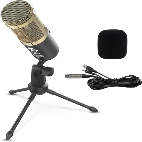 IDANCE RECORD STUDIO MIC 1 {1}