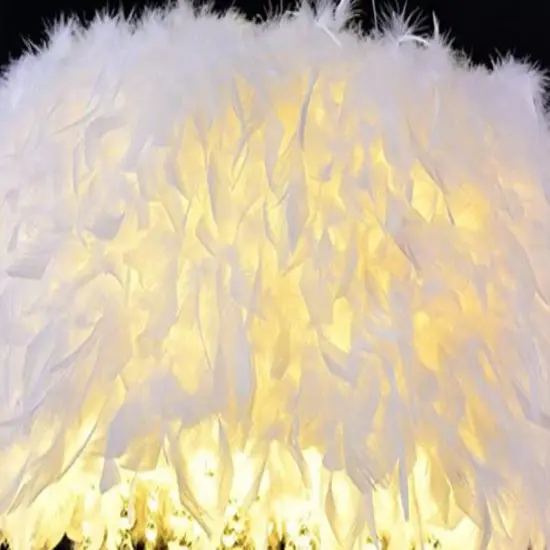 Totally Glam Feather Crystal Chandelier {3}