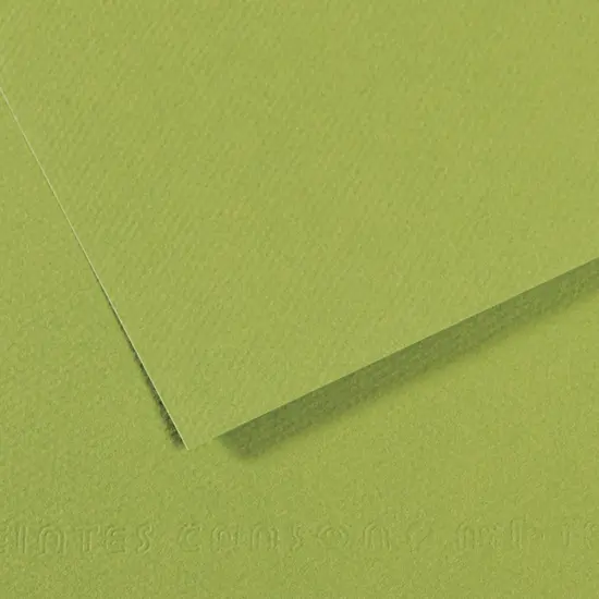 Canson Mi-Teintes Drawing Papers - 8-1/2" x 11", Apple Green, 25 Sheets {1}
