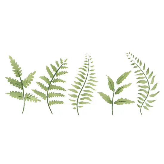 Fern Leaves Wall Stencil | 995 by Designer Stencils | Floral Stencils | Reusable Easy to Use & Clean Art Stencil {1}