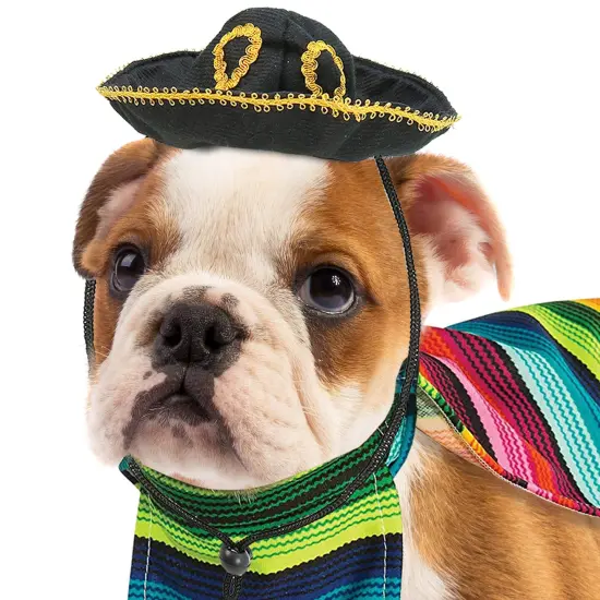 Skeleteen Mexican Serape Dog Costume - Cinco de Mayo Poncho and Sombrero Costumes for Pets {4}