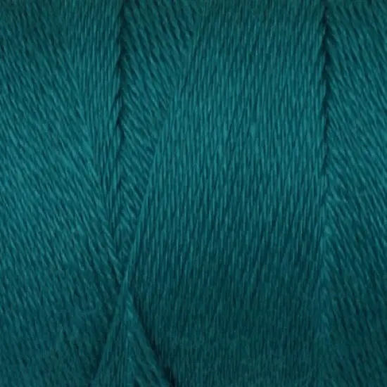 Multipack of 24 - Caron Simply Soft Collection Yarn-Pagoda {3}