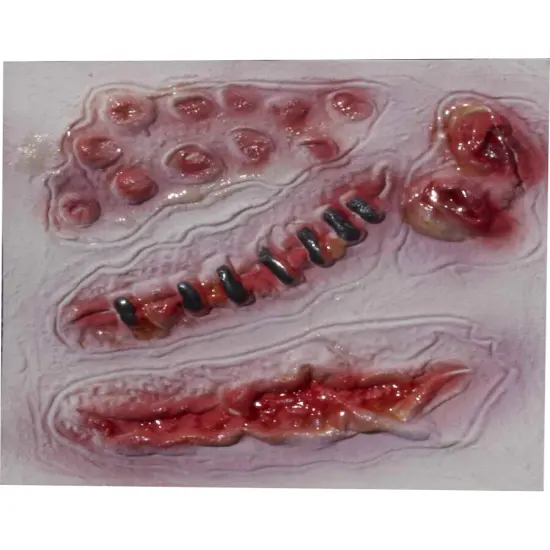 3 Zombie Bloody Scars Costume Latex Wound Prosthetics {1}