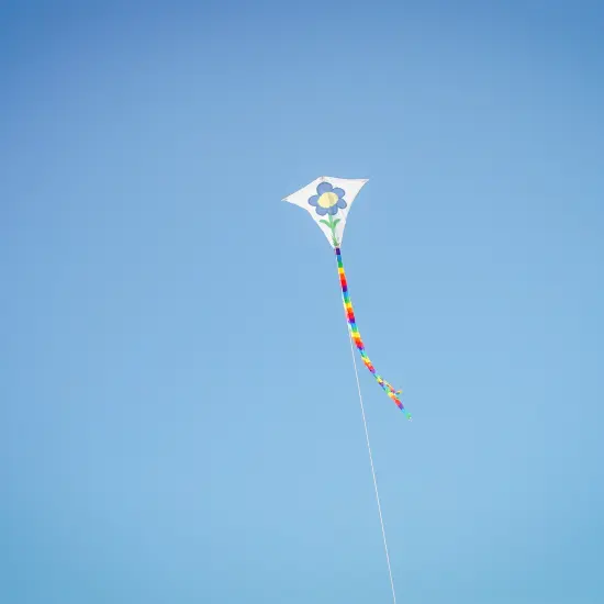 In the Breeze Coloring Diamond 20 Inch Kite - Single Line - Ripstop Fabric Kite - Includes Crayons, Kite Line and Bag - Creative Fun for Kids and Adults {5}