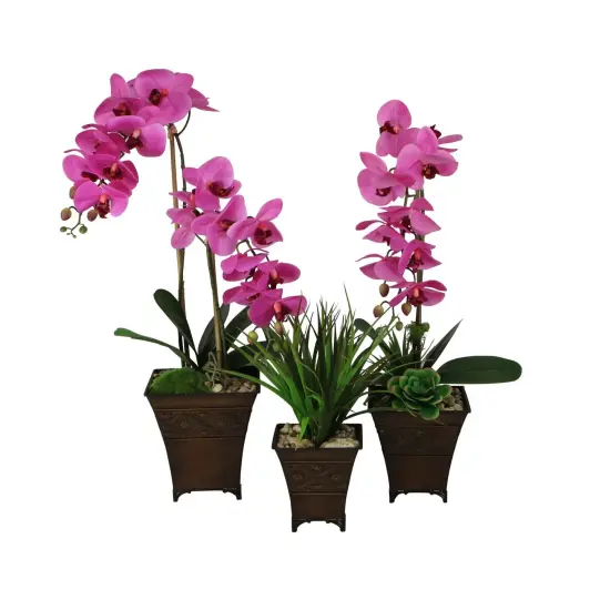 Contemporary Home Living Set of 3 Brown and Ivory Planters with Patterned Belt 8" {6}