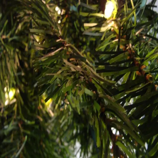 Darice 6' Pre-Lit Medium Canadian Pine Artificial Christmas Tree - Clear Lights Green {5}