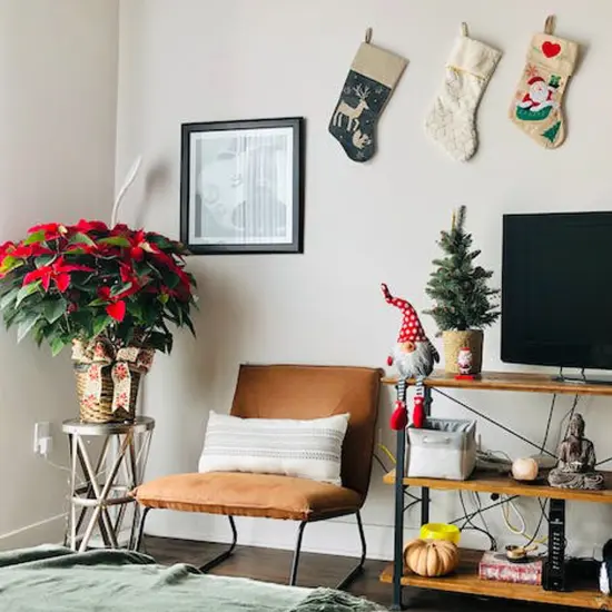 Northlight Hanging Leg and Polka-Dot Snow Cap Smiling Gnome - 24" - Gray and Red {6}