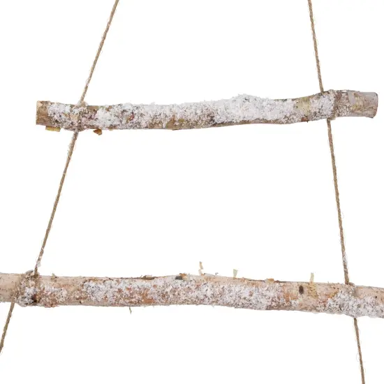 Northlight 34" Natural Twig Tree with Star Wall Hanging Christmas Decoration Brown {6}