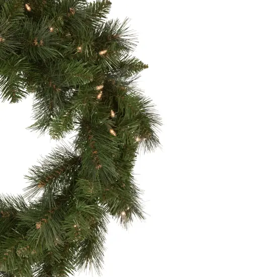 Northlight Mixed Beaver Pine Artificial Christmas Wreath - 24" - Clear Lights Green {4}
