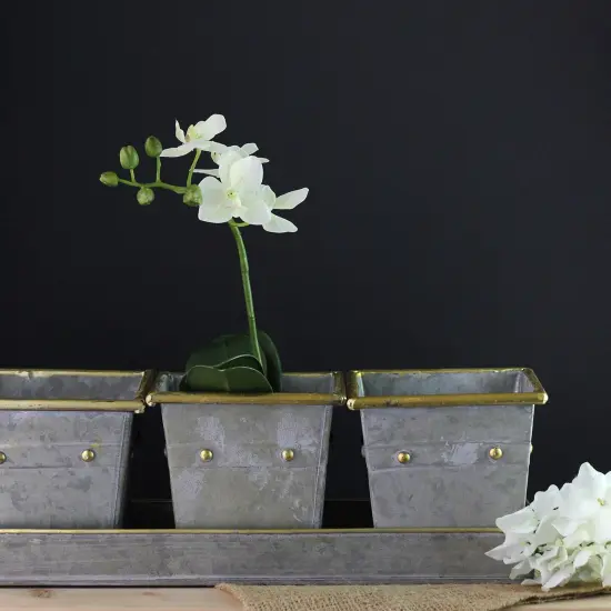 Melrose Set of 3 Decorative Gray Square Pots with Gold Colored Accents in a Tray 15.5" {6}