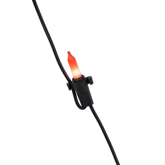 Northlight Lighted Web and Spider Halloween Decoration - 5' - Orange Lights {5}