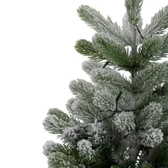 Northlight B/O Frosted Pine Artificial Christmas Tree with Burlap - 2' - Warm White Lights Green {5}