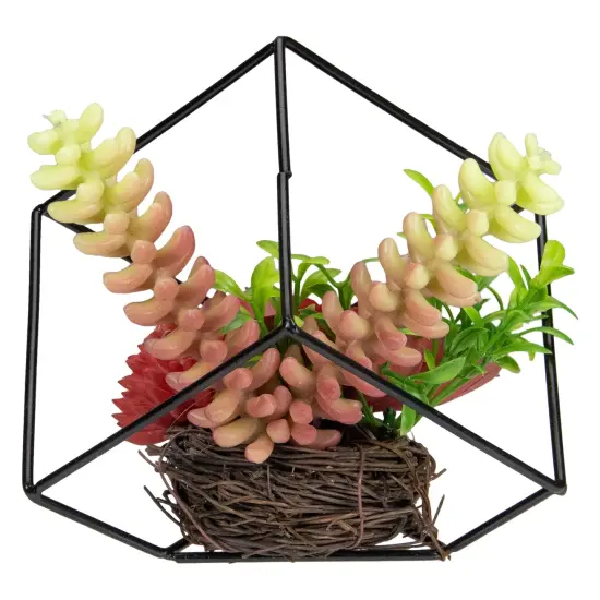 Northlight 5.5" Artificial Succulent Arrangement in Black Metal Wire Frame Red {6}