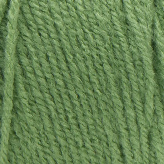 (Pack of 4) Red Heart Super Saver Yarn-Tea Leaf {2}