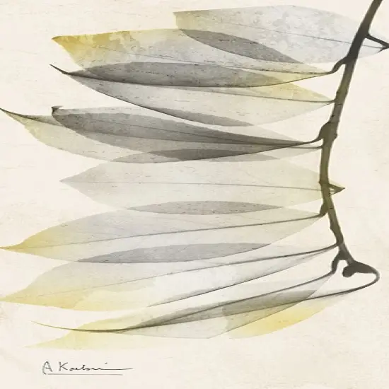 Camelia Sunshine Poster Print by Albert Koetsier - Item # VARPDXAK8PL017B {1}