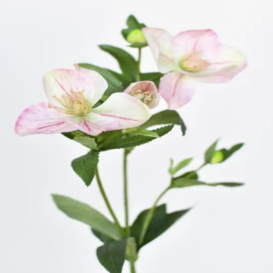 25" Faux Helleborus Stem Pink / Green {2}