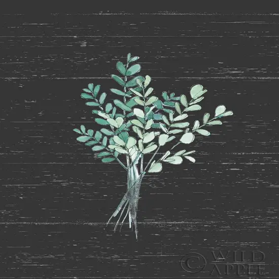 Farmhouse Cotton V Black No Words Poster Print by Beth Grove # 52894 {1}