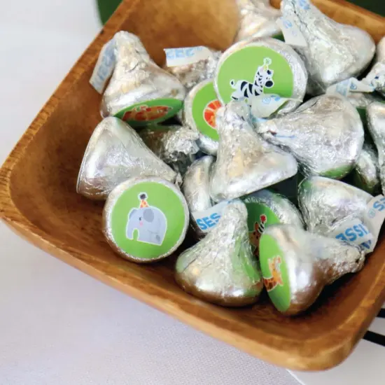 Big Dot of Happiness Jungle Party Animals - Birthday Party or Baby Shower Round Candy Sticker Favors - Labels Fits Chocolate Candy (1 sheet of 108) {6}