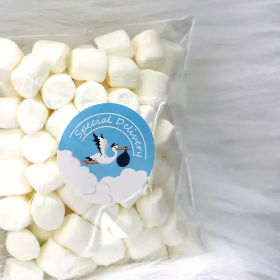 Big Dot of Happiness Boy Special Delivery - Blue It's A Boy Stork Baby Shower Circle Sticker Labels - 24 Count {6}