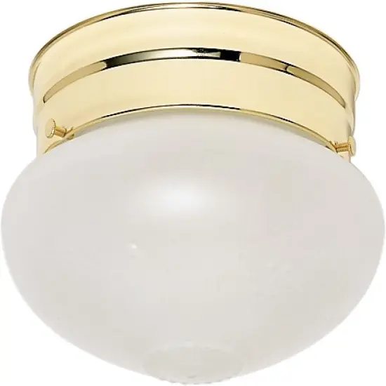 Nuvo 1-Light 6" Flush Mount Frosted Grape Small Mushroom in Polished Brass {1}