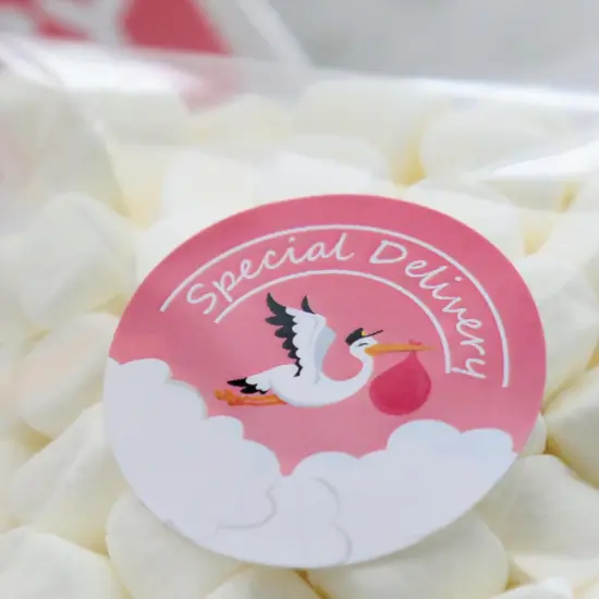 Big Dot of Happiness Girl Special Delivery - Pink It's A Girl Stork Baby Shower Circle Sticker Labels - 24 Count {6}