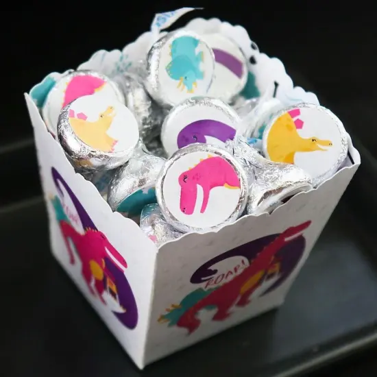 Big Dot of Happiness Roar Dinosaur Girl - Dino Mite T-Rex Party Round Candy Sticker Favors - Labels Fits Chocolate Candy (1 sheet of 108) {6}