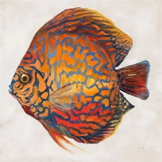 Little Fish II Poster Print by Patricia Pinto - Item # VARPDX9213 {2}