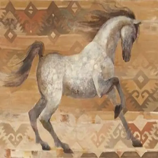 Grand Entrance Southwest Poster Print by Albena Hristova - Item # VARPDX21880 {1}