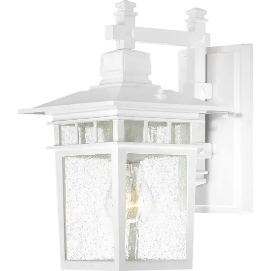 Cove Neck 1-Light Wall Lantern Outdoor Light Fixture in White Finish {1}