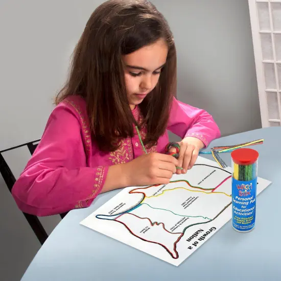 Personal Learning Pak, Pack of 2 {4}