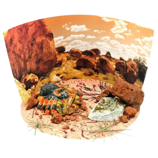 Extreme Spiders of the World - For Ages 6+ - Create and Customize Models and Dioramas - Study the Most Extreme Animals {3}