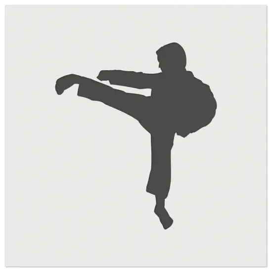 Martial Arts Karate Kick Solid Wall Cookie DIY Craft Reusable Stencil {7}