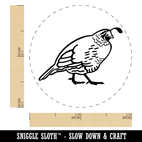 Plump California Quail Self-Inking Rubber Stamp for Stamping Crafting Planners Pink {1}