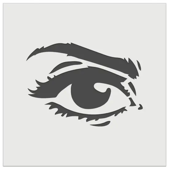 Woman's Left Eye with Eyebrow Mascara and Eye Shadow Wall Cookie DIY Craft Reusable Stencil {7}