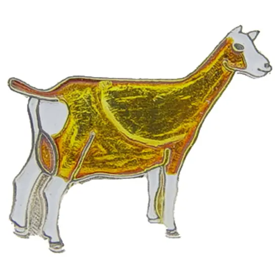 Toggenburg Goat Pin 1" {1}