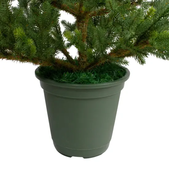 Northlight Real Touch™️Potted Noble Pine Slim Artificial Christmas Tree - 6' - Unlit Green {6}