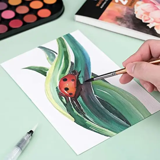 Watercolor Paint Set, 48 Water Colors Kit with 8 Squirrel Brushes, Palette, Watercolor Pen, 25 Art Pad Paper, 2 Art Sponges, Non-toxic Painting Supplies for Kids, Adults, Beginners, Artists {4}