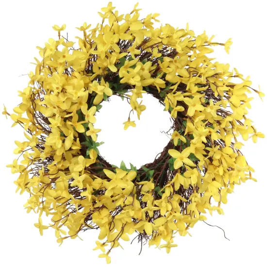2-Pack: 16" UV Yellow Forsythia Wreath with Grapevine Ring by Floral Home&reg; {1}