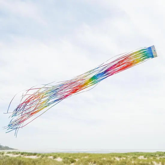 51-inch Rainbow Mylar Windsock {4}